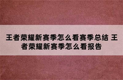 王者荣耀新赛季怎么看赛季总结 王者荣耀新赛季怎么看报告